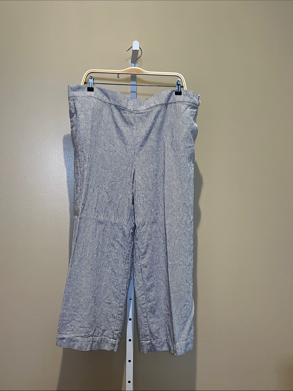 LOFT Linen Wide-Leg Crop Pants in Blue and White